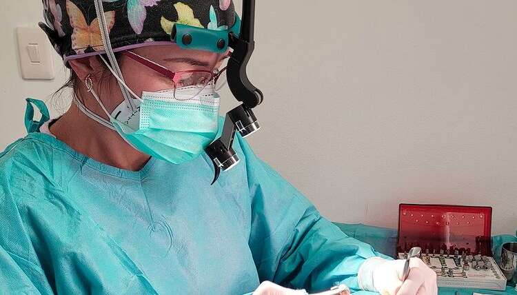 Cirugía Oral